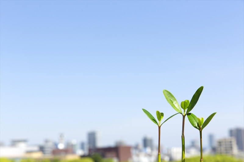 J・B・C株式会社